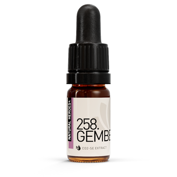 Gember CO2 Extract