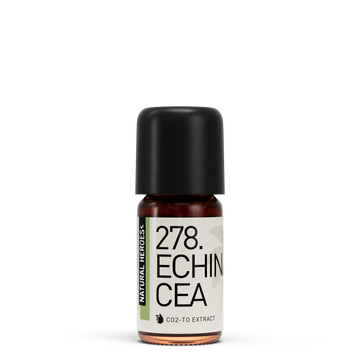 Echinacea Purpurea CO2 Extract
